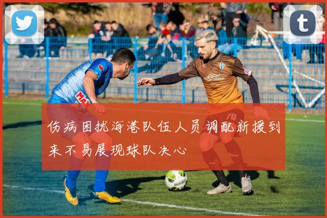 伤病困扰海港队伍人员调配新援到来不易展现球队决心